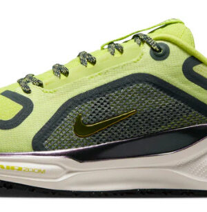 ZAPATILLAS--NIKE-PEGASUS-41-GORE-TEX-IMPERMEABLES-TALLA-42-=-27-CM-42.5-=-27.5-CM-- ZAPATILLAS NIKE PEGASUS 41 GORE TEX IMPERMEABLES TALLA 42 y 42.5