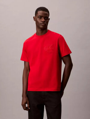0379-POLERA CALVIN KLEIN HOMBRE TALLA XS-XXL POLERA CALVIN KLEIN HOMBRE TALLA XS-XXL