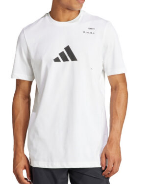 0437-1-POLERA ADIDAS HOMBRE TALLA L POLERA ADIDAS HOMBRE TALLA L