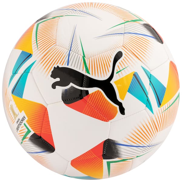 BALON FUTBOL LIBERTADORES CUMBRE PUMA NUMERO 5 BASICA