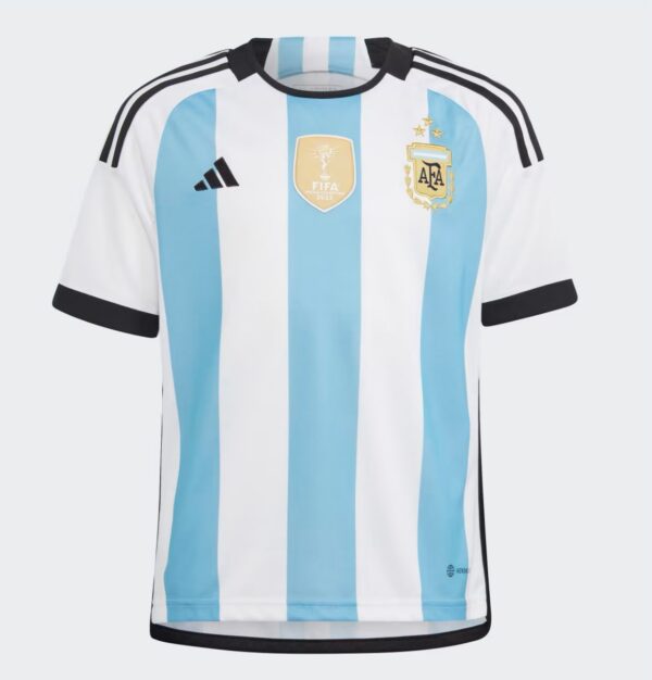 CAMISETA ARGENTINA TALLA 9 A 10 AÑOS CAMISETA ARGENTINA TALLA 9 A 10 AÑOS
