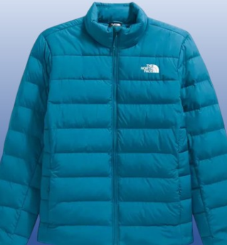 CHAQUETA 600 PLUMAS THE NORTH FACE TURQUESA HOMBRE TALLA M-XXL
